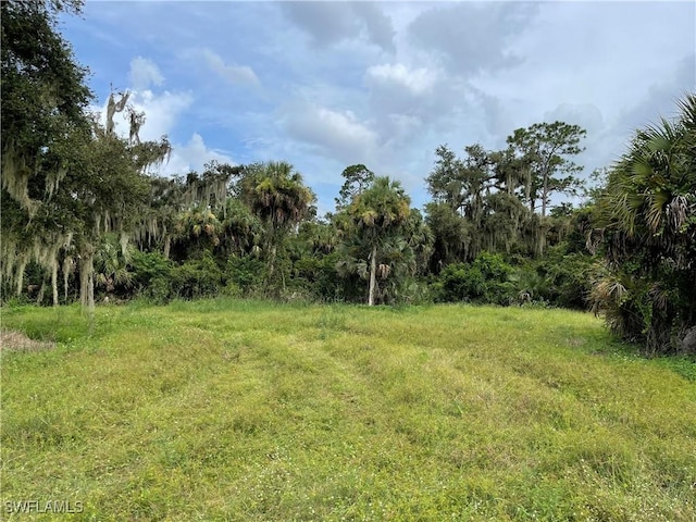 Listing photo 3 for Secretariat Dr, Labelle FL 33935