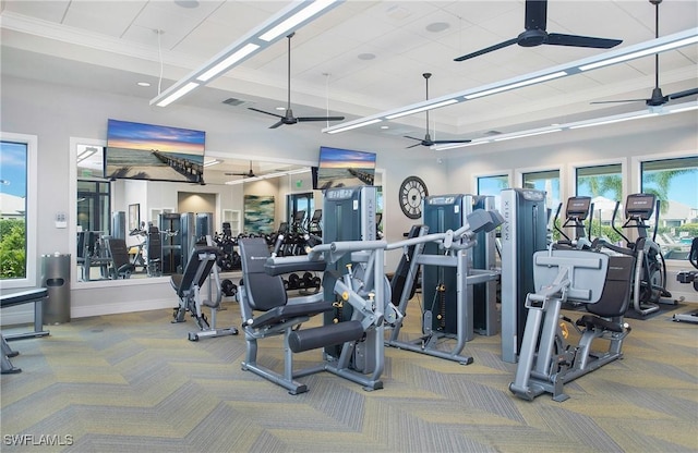 exercise room featuring crown molding, plenty of natural light, carpet floors, and ceiling fan