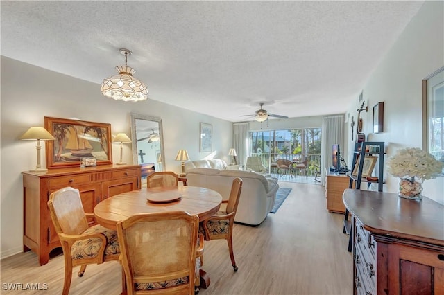 dining space featuring ceiling fan, light hardwood / wood-style flooring, and a textured ceiling