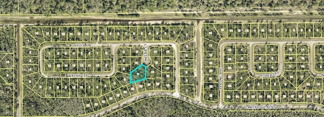 2155 Melba Ct, Lehigh Acres FL, 33972 land for sale