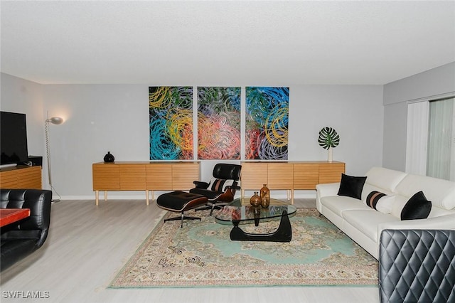 living room featuring wood-type flooring