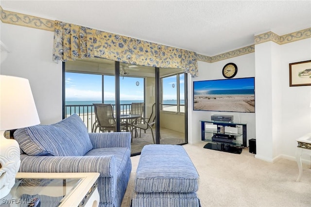 living room featuring a textured ceiling and carpet