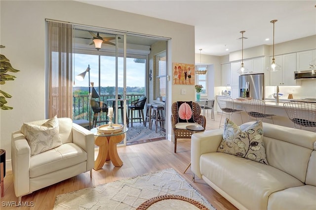 living room featuring light hardwood / wood-style floors and a healthy amount of sunlight