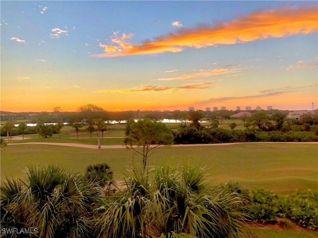 view of home's community with a lawn