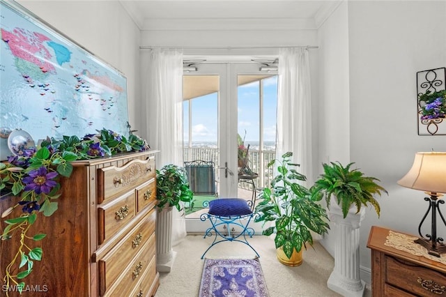 living area with ornamental molding