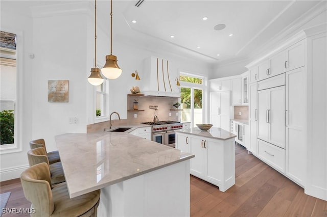 kitchen featuring sink, a kitchen island, premium range hood, backsplash, and white cabinets