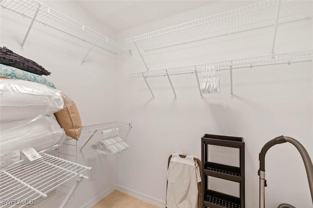 view of spacious closet