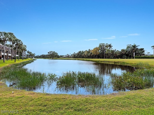 108 Wilderness Dr Unit 132, Naples, FL 34105 - water view