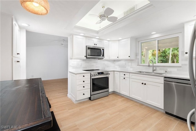 kitchen with a raised ceiling, appliances with stainless steel finishes, sink, and white cabinets