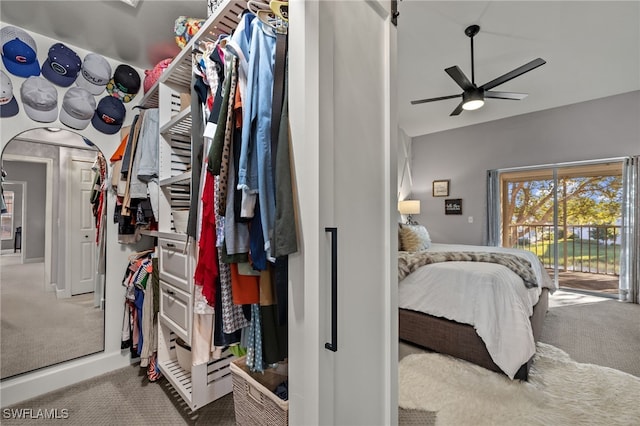 walk in closet featuring carpet floors and ceiling fan