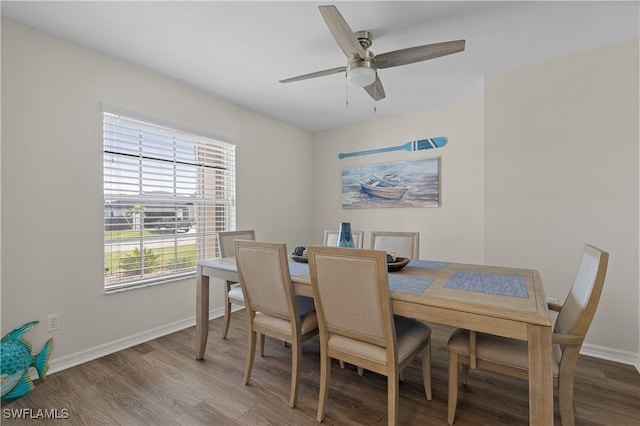 dining room with hardwood / wood-style flooring, plenty of natural light, and ceiling fan