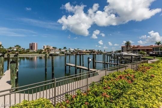 dock area with a water view