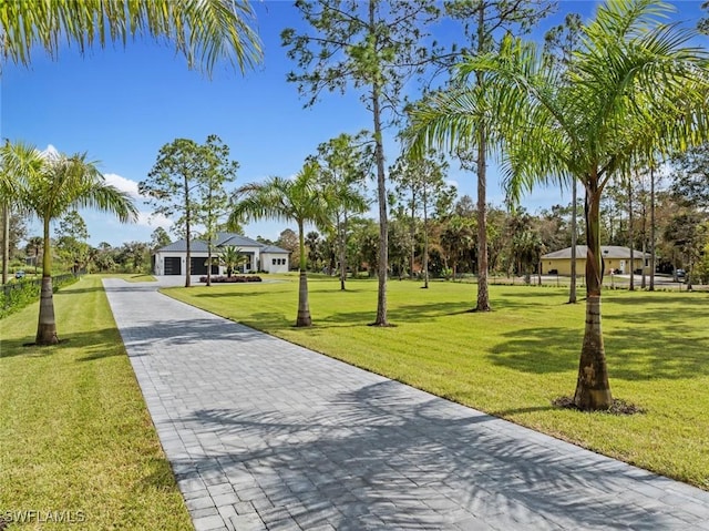 view of property's community with a lawn