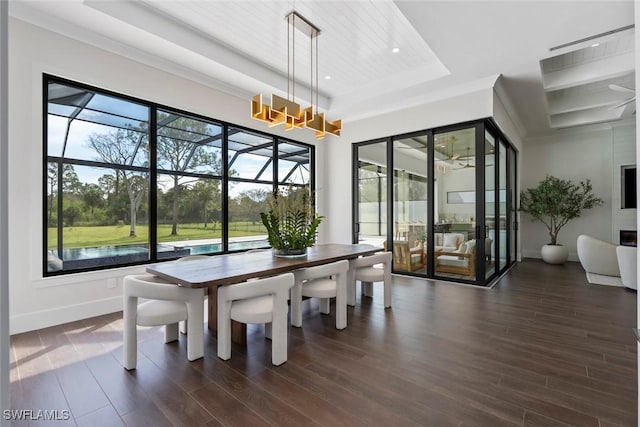 dining space featuring dark hardwood / wood-style flooring, a raised ceiling, and a healthy amount of sunlight