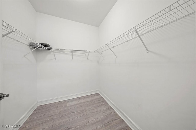 walk in closet featuring hardwood / wood-style flooring