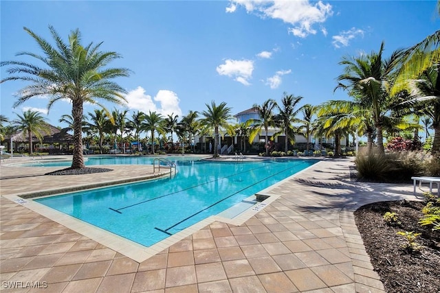 view of pool featuring a patio