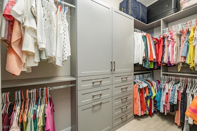 walk in closet with light wood-type flooring