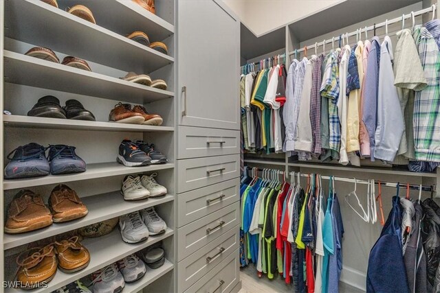 view of spacious closet