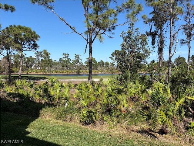 view of yard with a water view