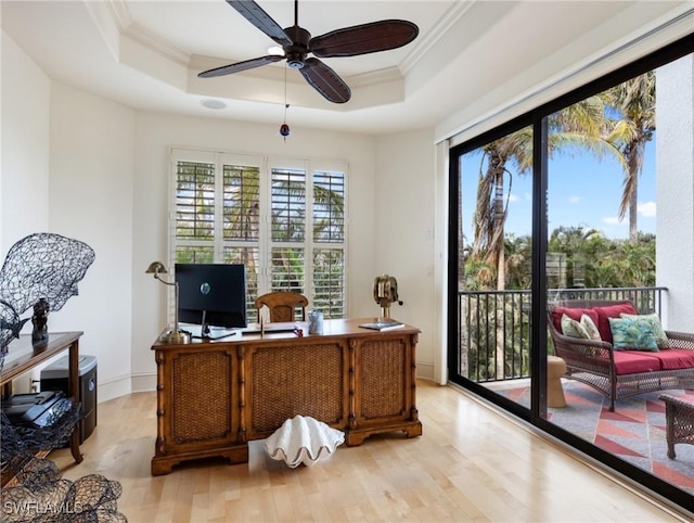 office featuring ceiling fan, light wood-type flooring, and a tray ceiling