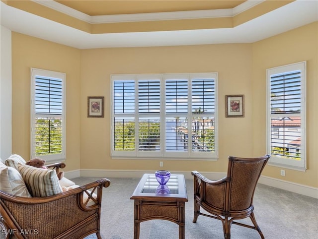 living area featuring a raised ceiling, carpet floors, and crown molding