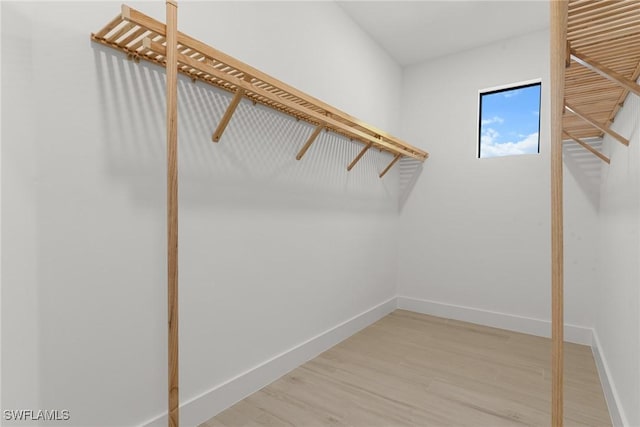 walk in closet featuring wood-type flooring