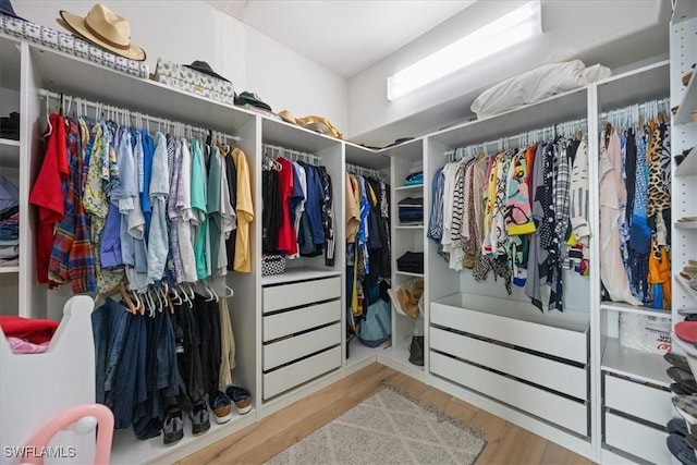 spacious closet with hardwood / wood-style floors