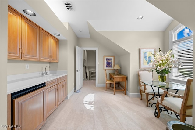 kitchen with light colored carpet and sink