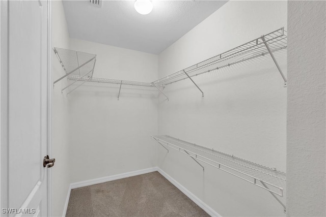 spacious closet with carpet flooring