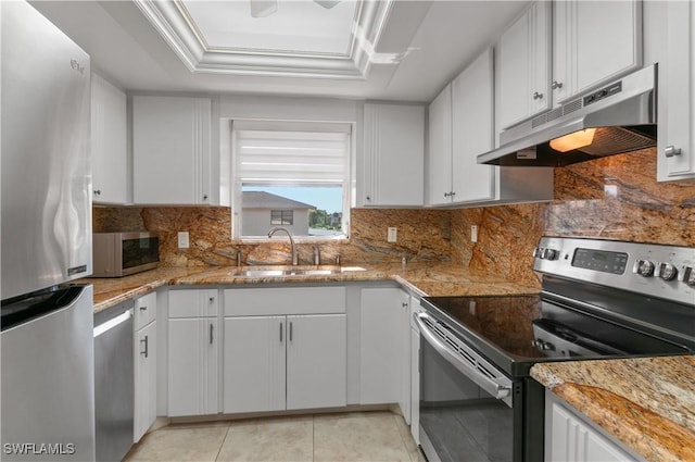 kitchen with a tray ceiling, a sink, stainless steel appliances, under cabinet range hood, and crown molding