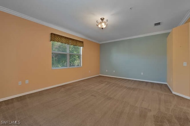 spare room featuring crown molding and carpet