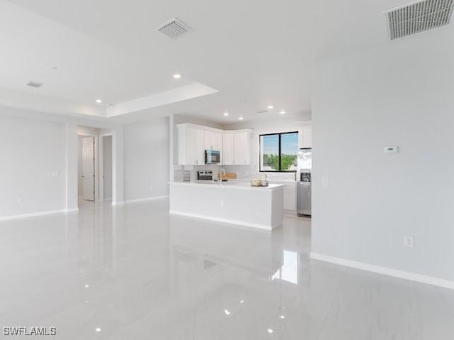 interior space with a raised ceiling