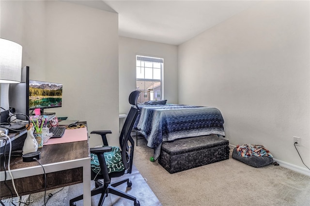 bedroom with carpet flooring