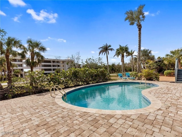 view of swimming pool with a patio area