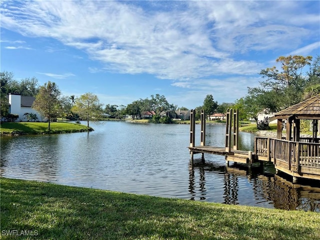 dock area with a water view