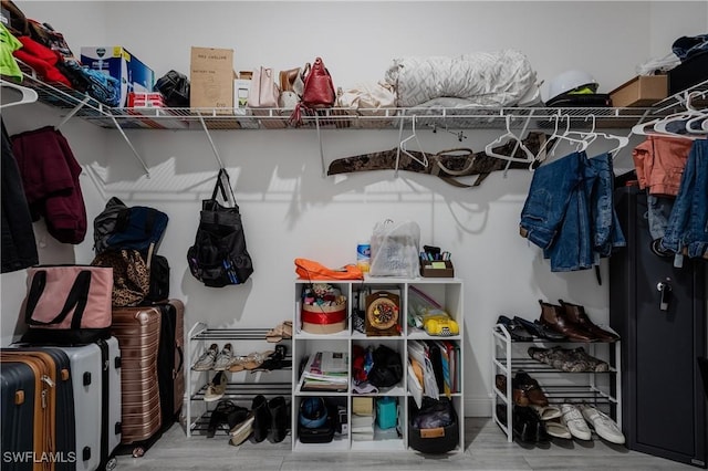 spacious closet with hardwood / wood-style floors