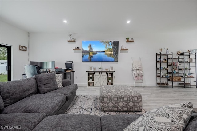 living room featuring light hardwood / wood-style floors