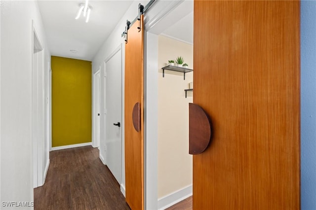 hallway featuring a barn door and dark hardwood / wood-style flooring