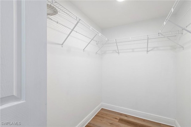 spacious closet featuring wood-type flooring