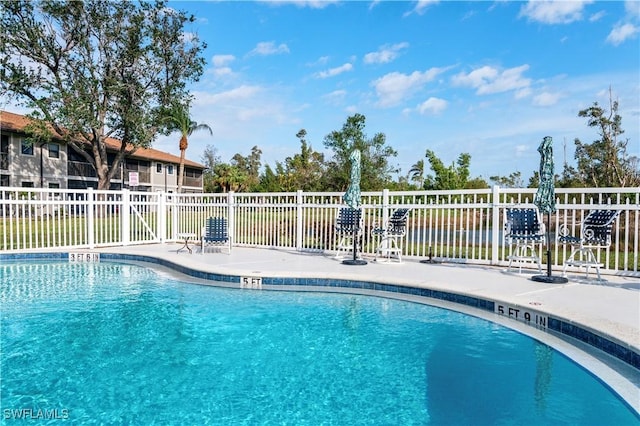 view of swimming pool with a patio area