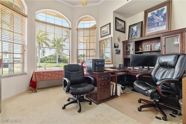 carpeted office featuring ornamental molding and a wealth of natural light