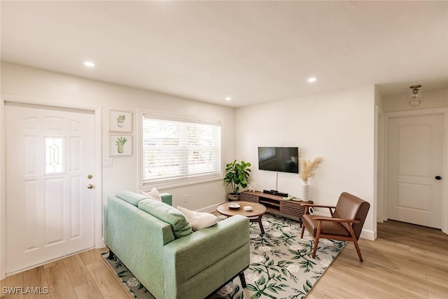 living room featuring light hardwood / wood-style floors