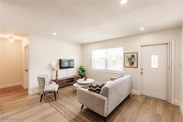 living room featuring light wood-type flooring