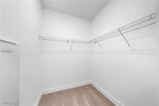 walk in closet with carpet floors