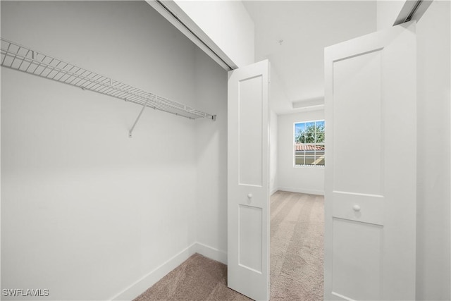 spacious closet with carpet flooring