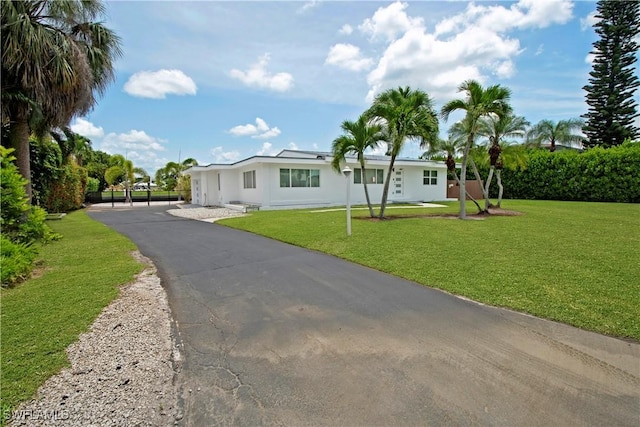 ranch-style house featuring a front yard