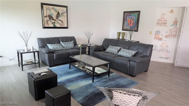 living room with wood-type flooring