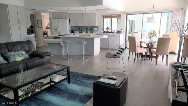 living room featuring light wood-type flooring, plenty of natural light, and ceiling fan