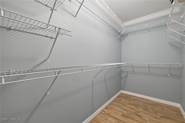 walk in closet featuring wood-type flooring