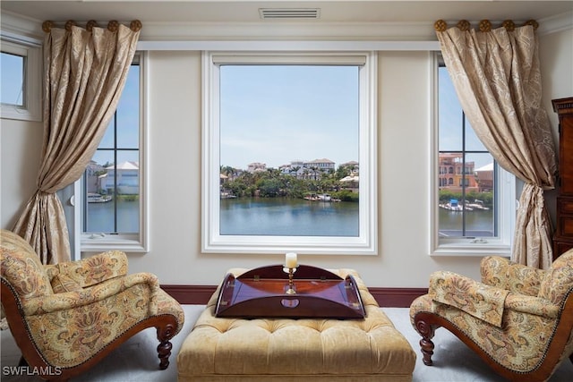 living area featuring a wealth of natural light and a water view